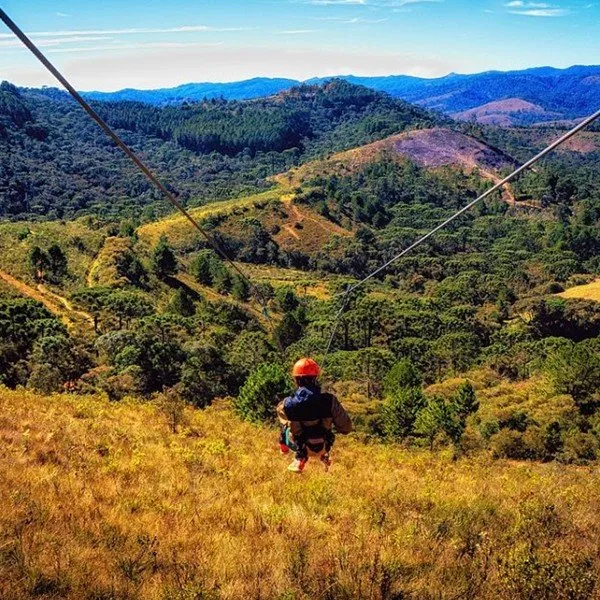 af4715c67212a16600ba2290544afd25